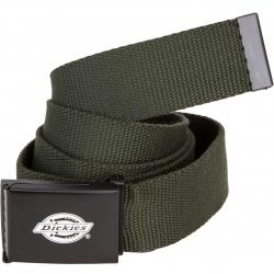 Belt Dickies Orcutt olive 