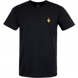 T-Shirt Iriedaily Flutscher Embroidered dunkelgrau 