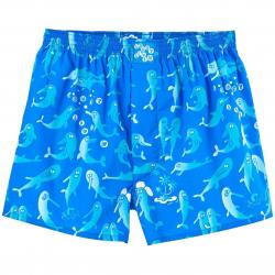 Underwear Lousy Dolphins blue 