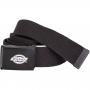 Belt Dickies Orcutt dark brown
