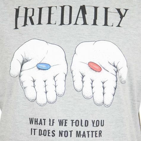 Iriedaily T-Shirt It Doesnt Matter grau 
