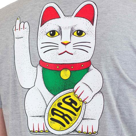 Iriedaily T-Shirt Bye Bye Cat grau 