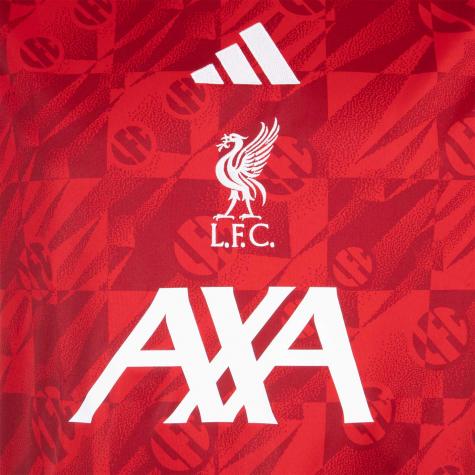 Adidas LIverpool FC Prematch Jersey Trikot 