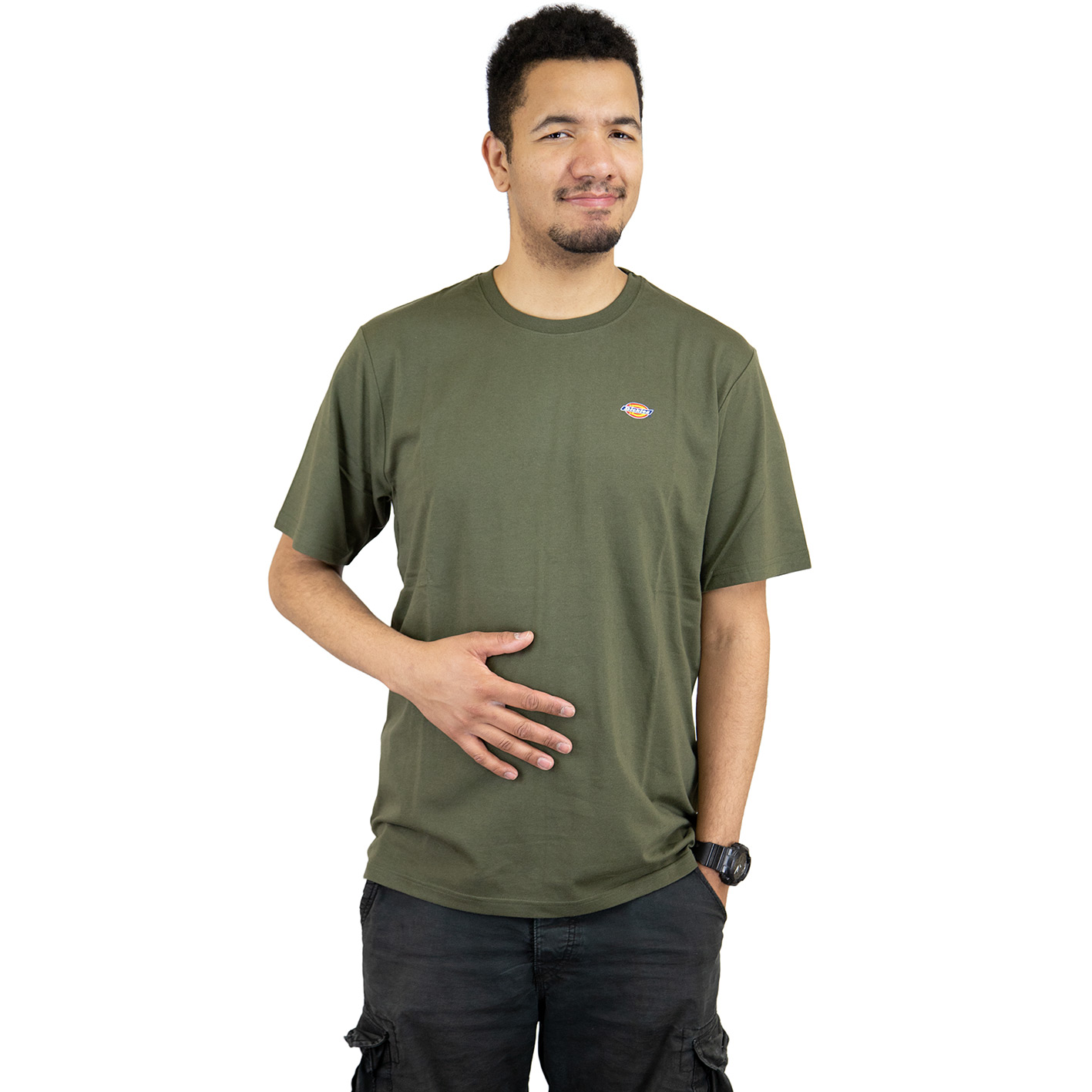Dickies T-shirt basic - mushroom/marrone scuro