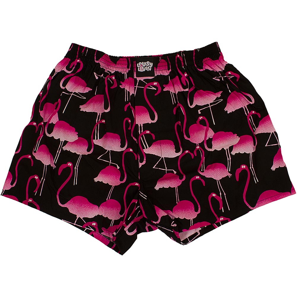 Lousy Livin Underwear BEACH DAZZLE - Caleçon - fanfare/bleu pétrole